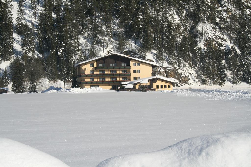 Schoenauer Hof 3* Bach (Tyrol)